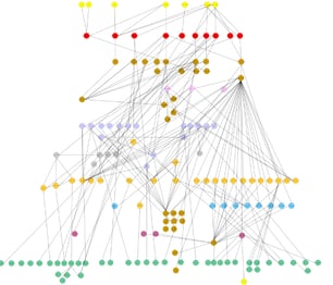 A network of colored circles and lines

Description automatically generated